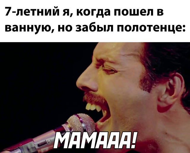 Смешные картинки вечер 14 декабря 2020