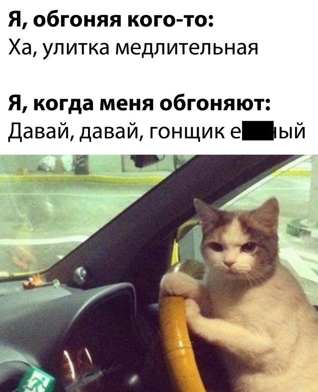 Смешные картинки вечер 14 декабря 2020