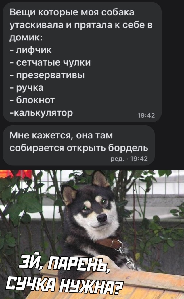 Смешные картинки вечер 14 декабря 2020