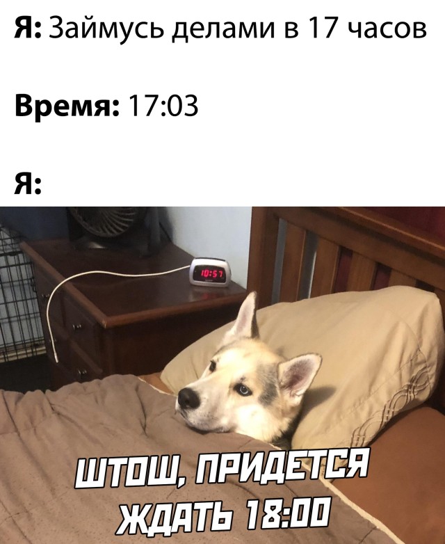 Смешные картинки вечер 14 декабря 2020