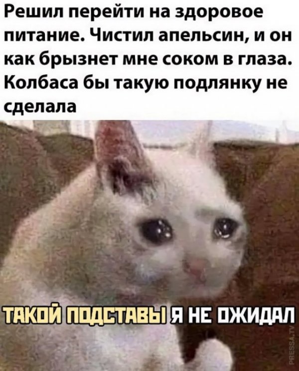 Картинки и мемы для настроения