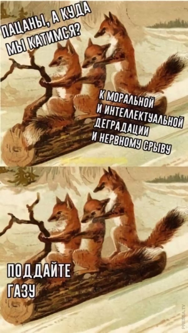 Картинки и мемы для настроения