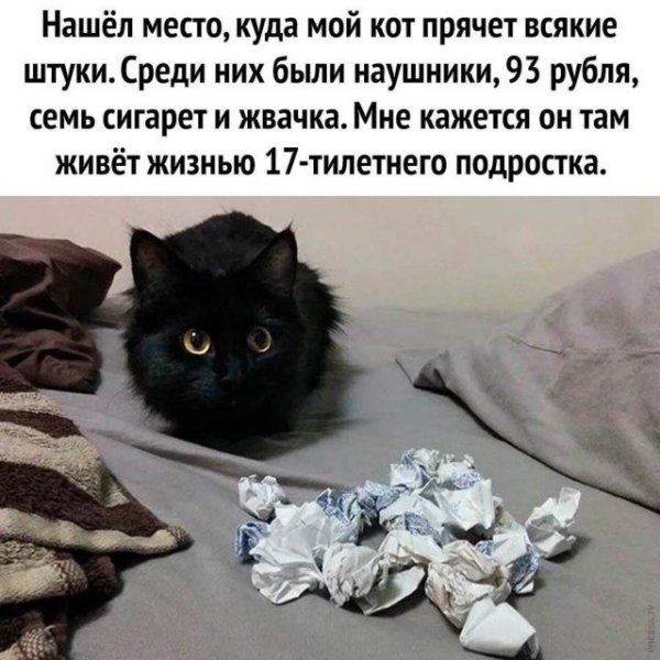 Картинки и мемы для настроения
