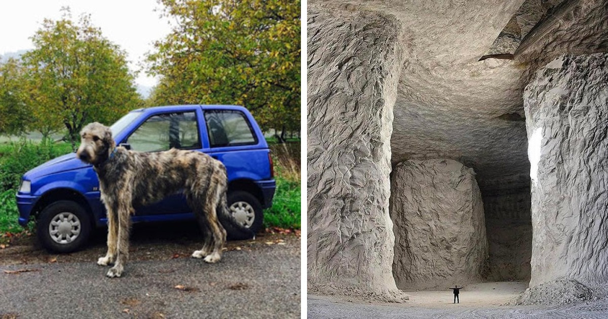 20 фотографий, на которые попали вещи и явления, чьи размеры — отдельный повод для удивления