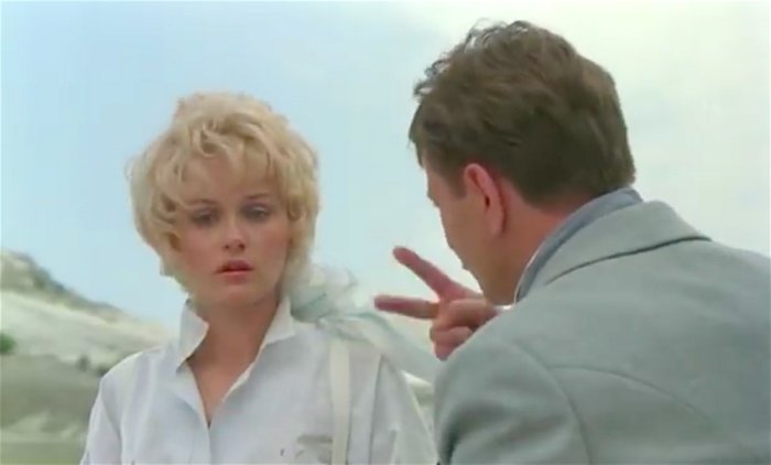 Бил ли Штирлиц Холтоффа бутылкой по голове? Бил ли Штирлиц Холтоффа бутылкой по голове?