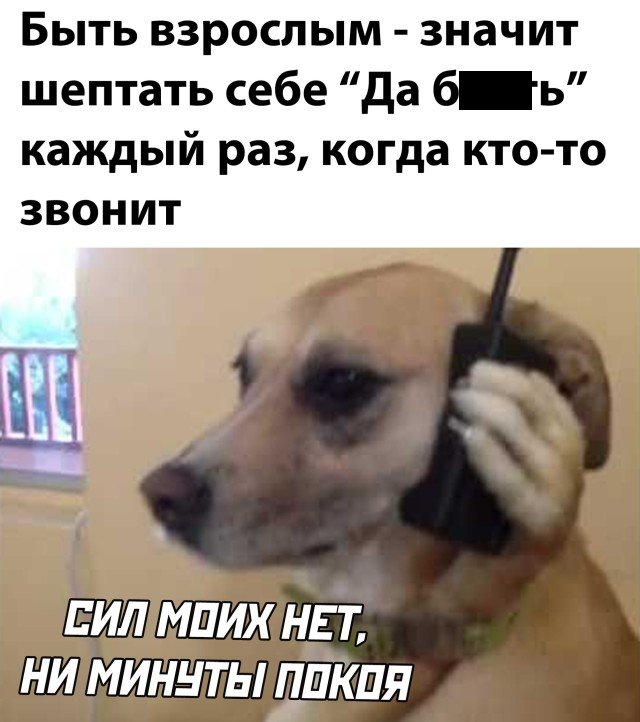 Каждый раз когда кто-то звонит