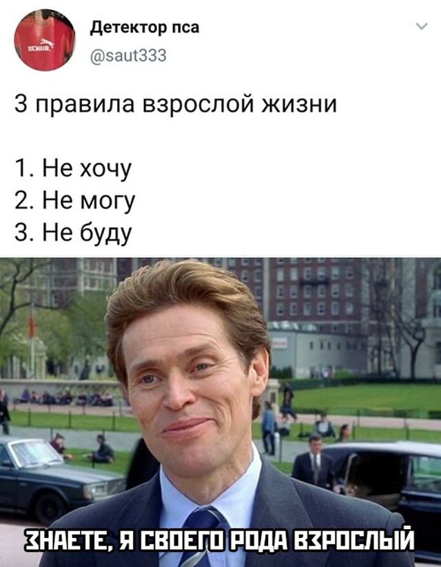 Смешные картинки вечер 16 декабря 2020