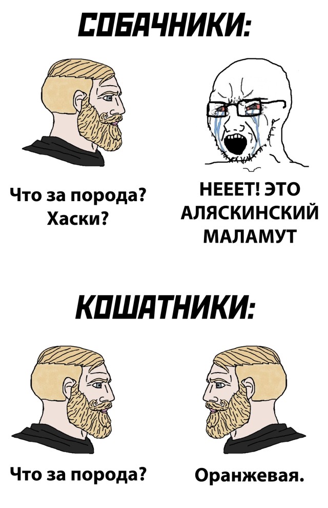 Смешные картинки вечер 16 декабря 2020