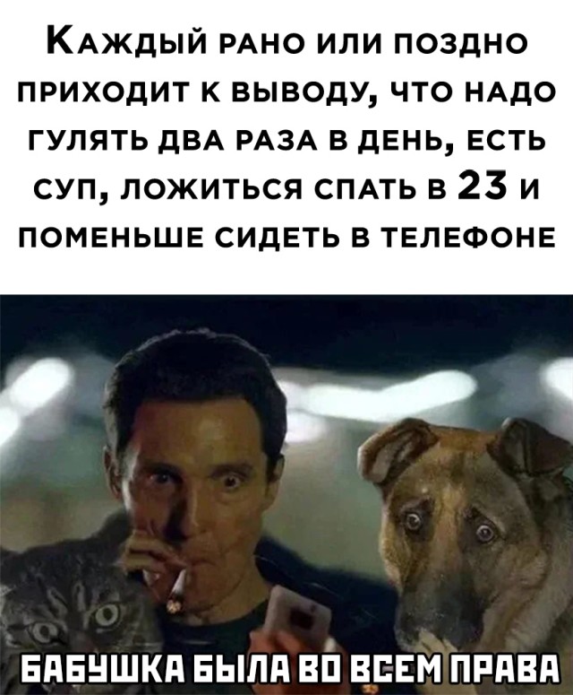 Смешные картинки вечер 16 декабря 2020