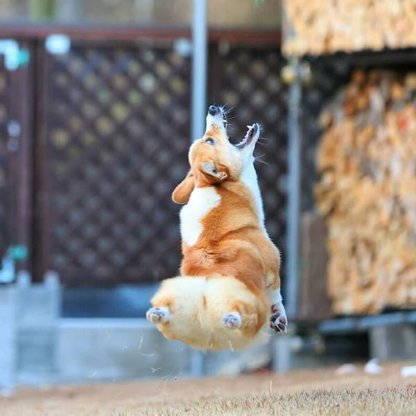 Смешные картинки вечер 16 декабря 2020