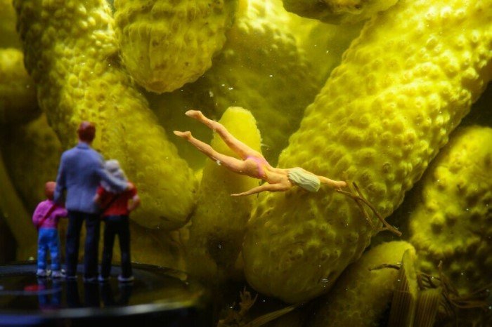 Венгерский художник создает микромиры Венгерский художник создает микромиры