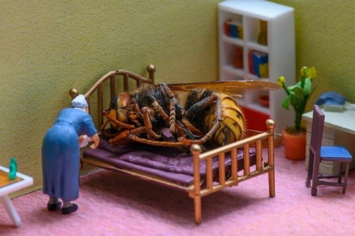 Венгерский художник создает микромиры Венгерский художник создает микромиры