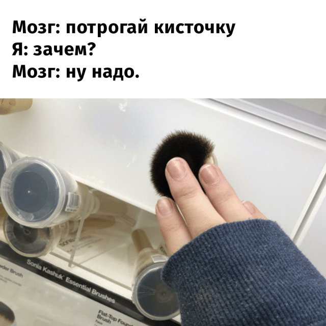 Бессмысленные, но интересные занятия, которые нам подсказывает сделать моз