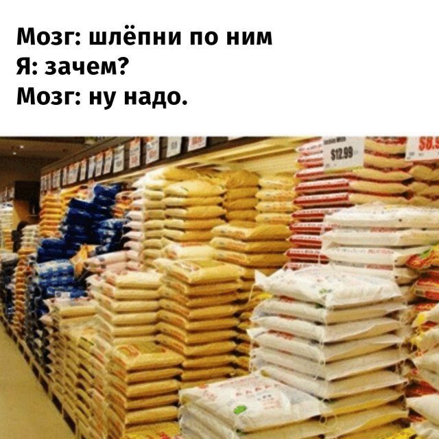 Бессмысленные, но интересные занятия, которые нам подсказывает сделать моз