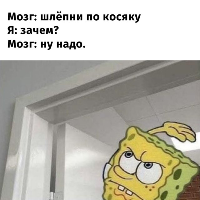 Бессмысленные, но интересные занятия, которые нам подсказывает сделать моз