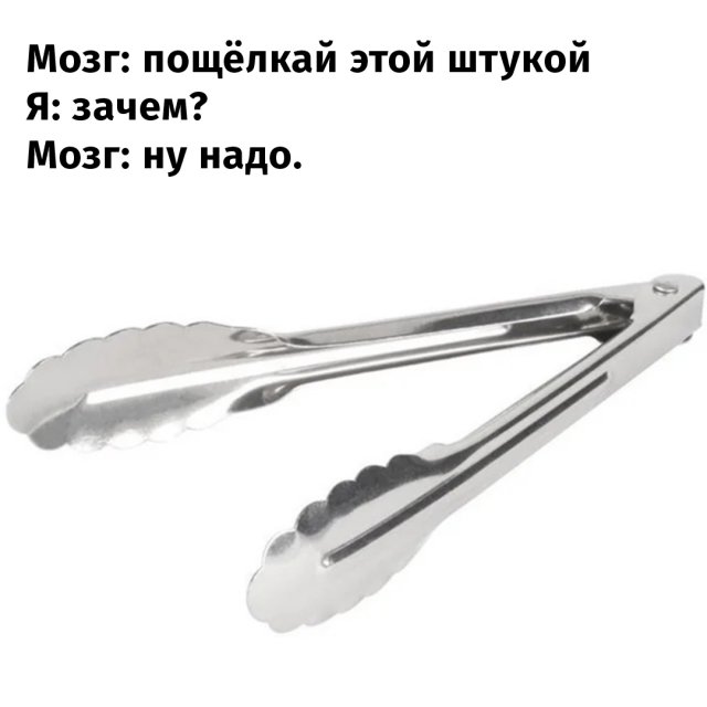 Бессмысленные, но интересные занятия, которые нам подсказывает сделать моз