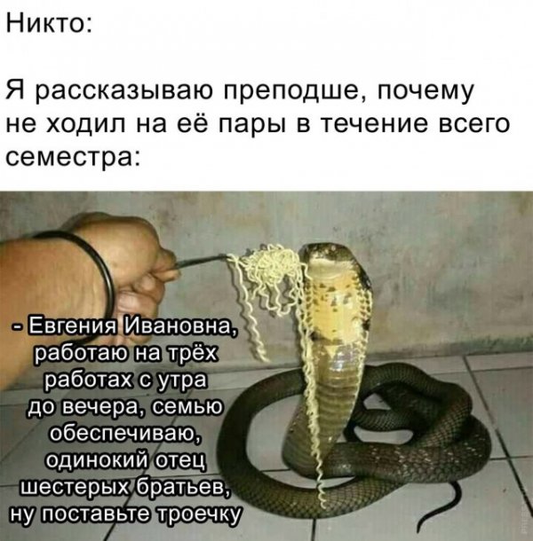 Картинки и мемы для настроения