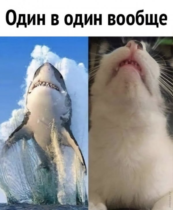 Картинки и мемы для настроения