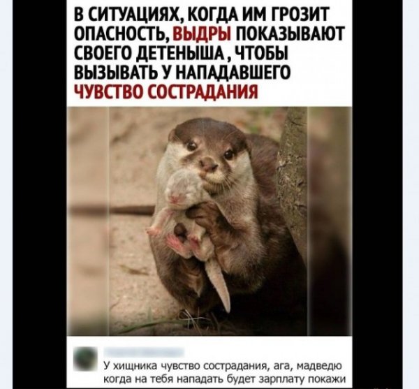 Картинки и мемы для настроения