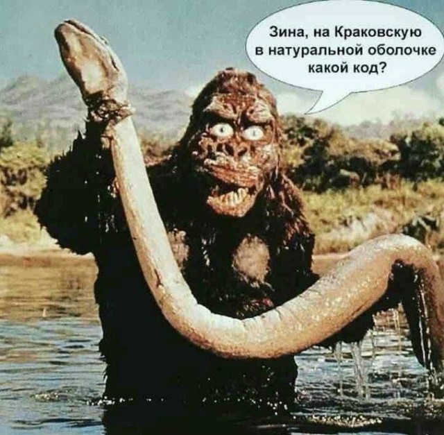 Смешные фото вечер 29 декабря 2020