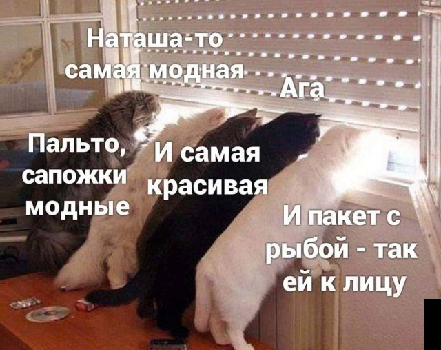 Смешные картинки 31 декабря 2020