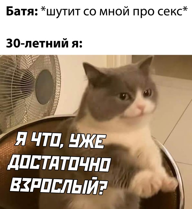 Смешные фото 8 января 2021