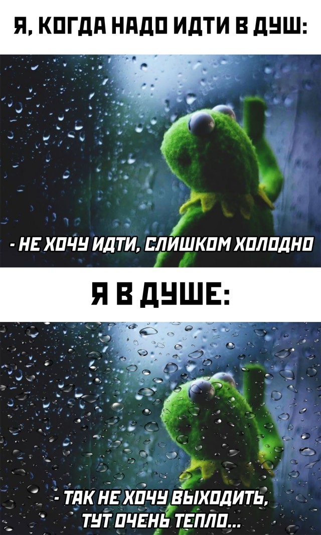 Смешные фото 8 января 2021