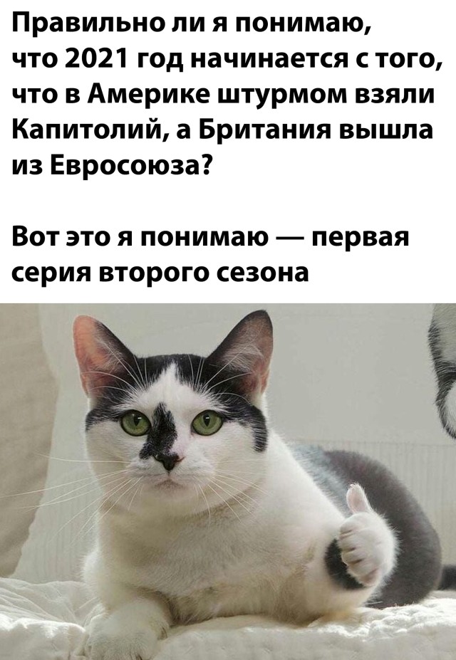 Смешные фото 8 января 2021