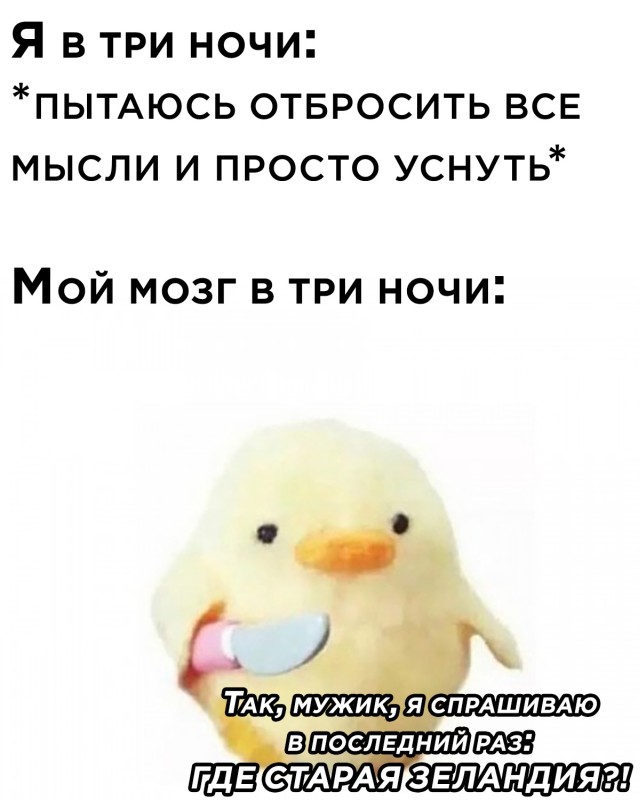 Смешные фото 8 января 2021