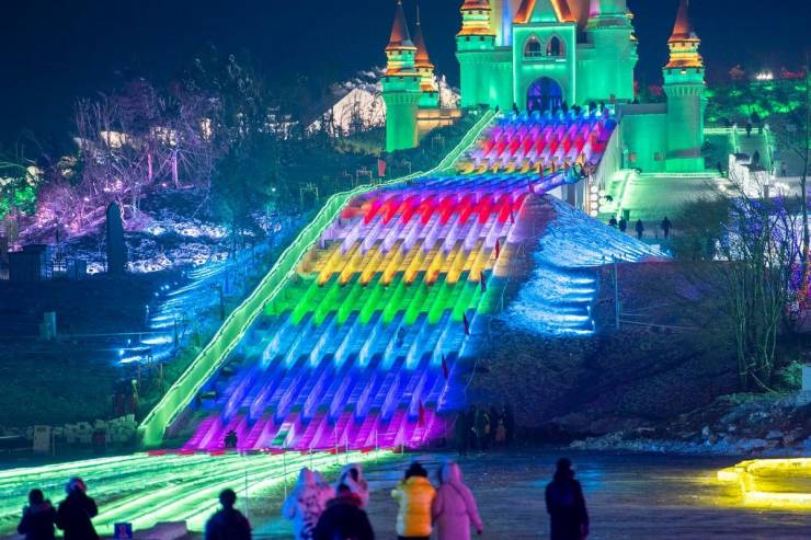 Смешные фото 8 января 2021