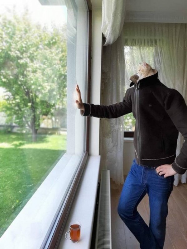 Cолянки из картинок