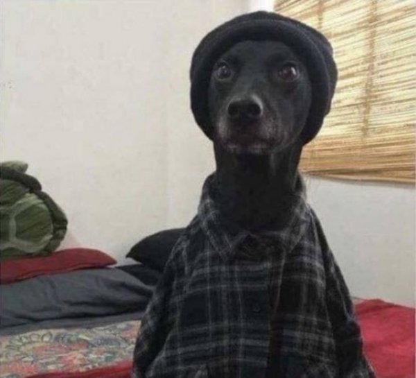 Cолянки из картинок