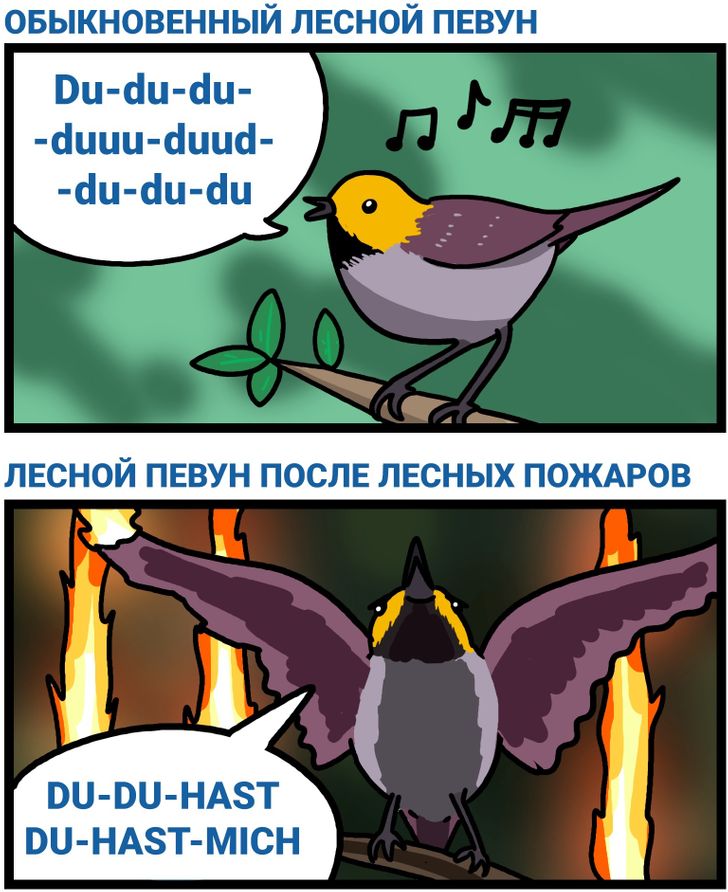 16 остроумных комиксов для тех, кто любит науку, но не любит много читать