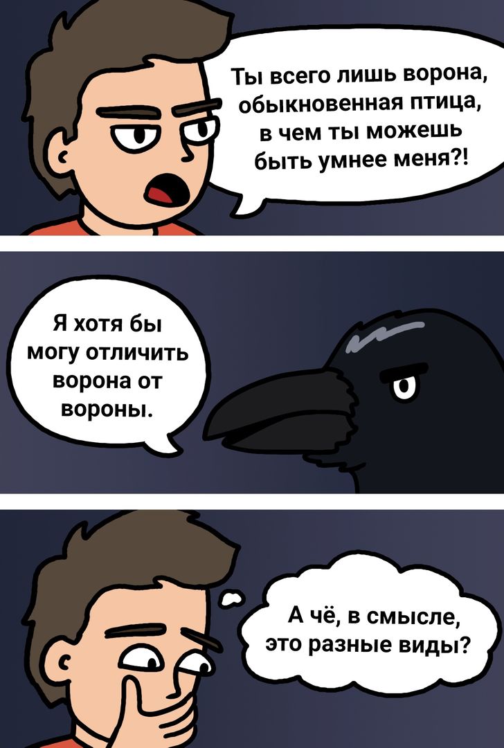 16 остроумных комиксов для тех, кто любит науку, но не любит много читать