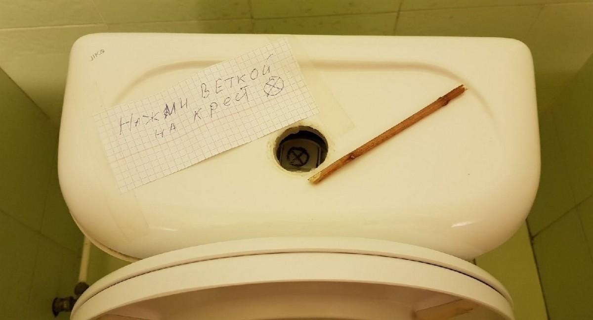 По родным просторам