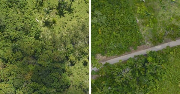 Фотографии со спутников от НАСА: какие изменения происходят на поверхности Земли