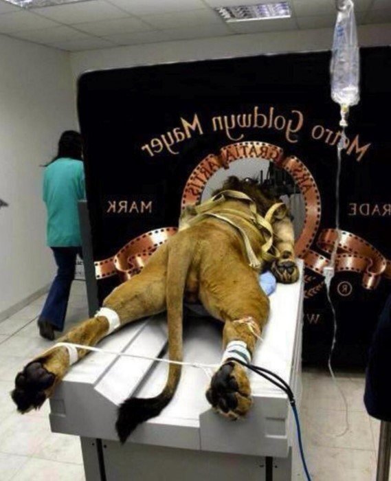 Что осталось за кадром: фото, доказывающие, что у всего есть обратная сторона