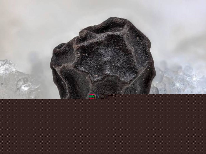 15 поразительных фото, которые демонстрируют некоторые вещи под микроскопом 15 поразительных фото, которые демонстрируют некоторые вещи под микроскопом