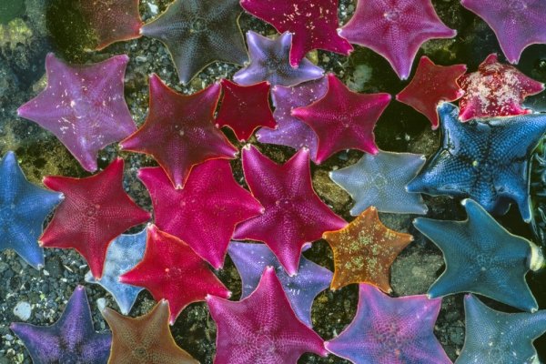 Замечательные фотографии Арта Вулфа Замечательные фотографии Арта Вулфа