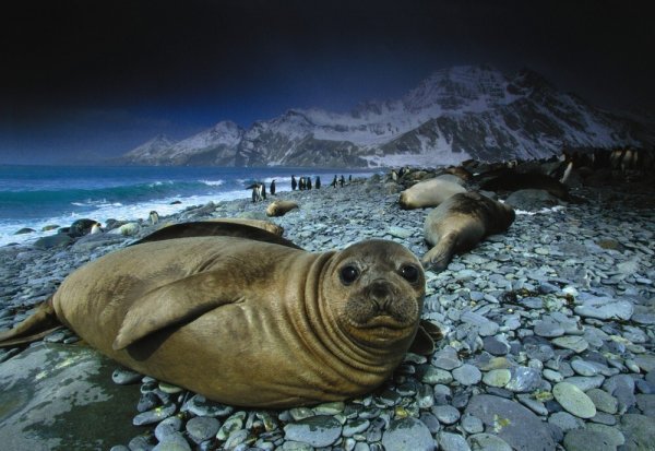 Замечательные фотографии Арта Вулфа Замечательные фотографии Арта Вулфа