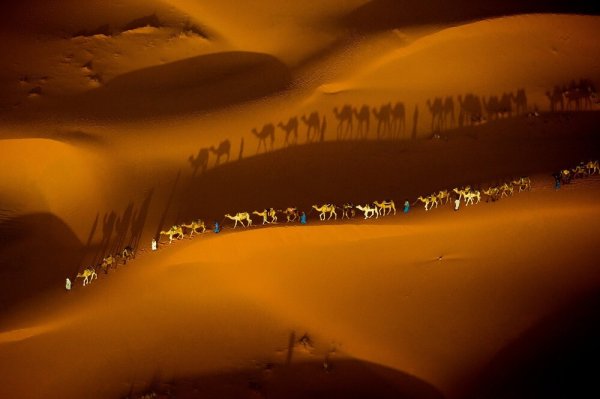 Замечательные фотографии Арта Вулфа Замечательные фотографии Арта Вулфа