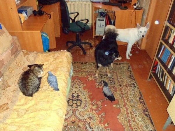 Нестандартный юмор :)