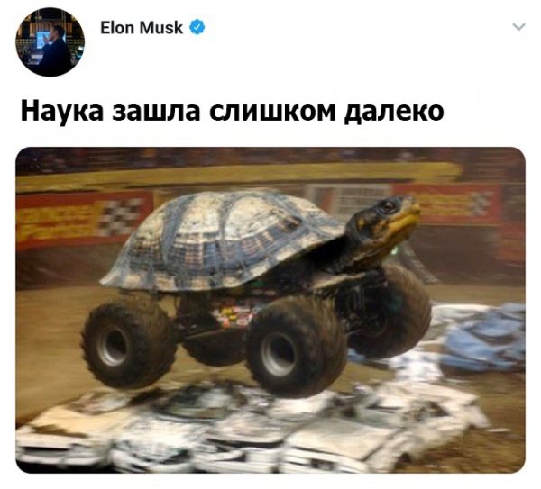 Нестандартный юмор :)