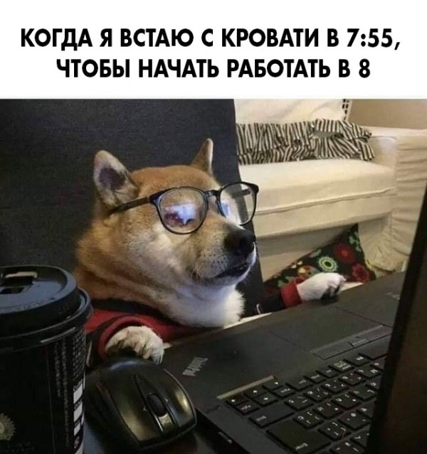 Нестандартный юмор :)