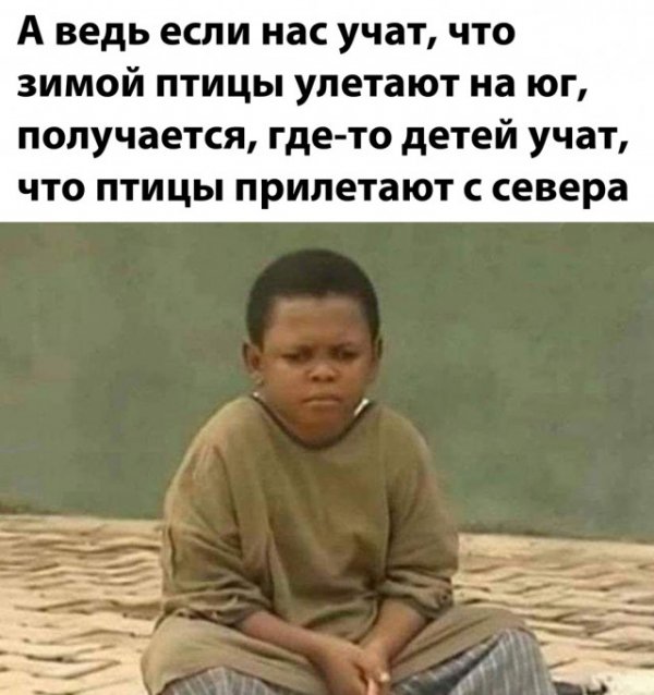 Кретинизмы из сети