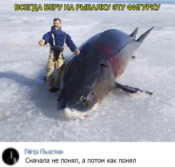 Кретинизмы из сети