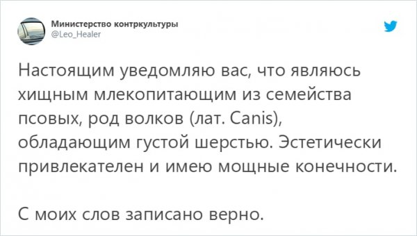 твит про млекопитающее
