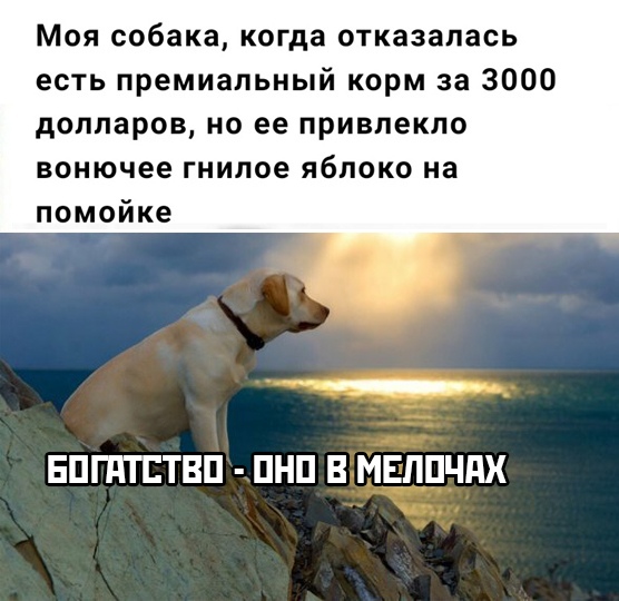 Смешные картинки вечер 15 января 2021