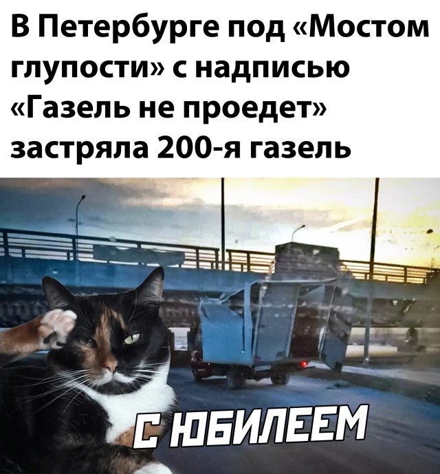 Смешные картинки вечер 15 января 2021