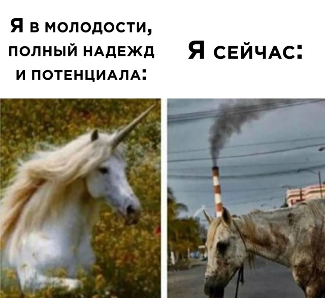 Смешные картинки вечер 15 января 2021